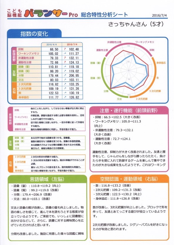 総合特性分析シート